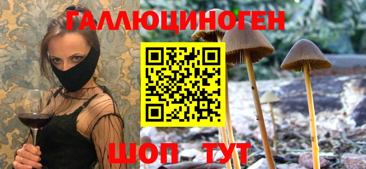 Севастополь  Галлюциногенные грибы ЛСД  Вход с VPN 